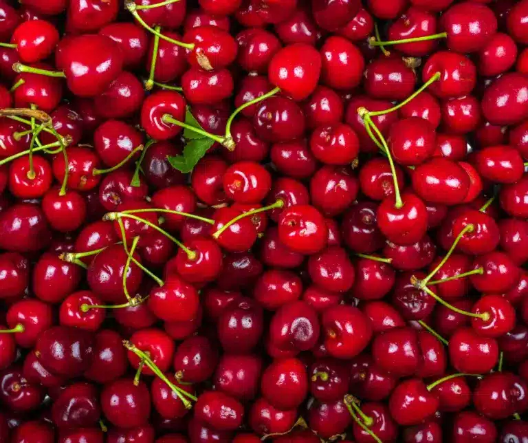 Quelles cerises utiliser pour un clafoutis ? Le guide complet  – Plumefraise