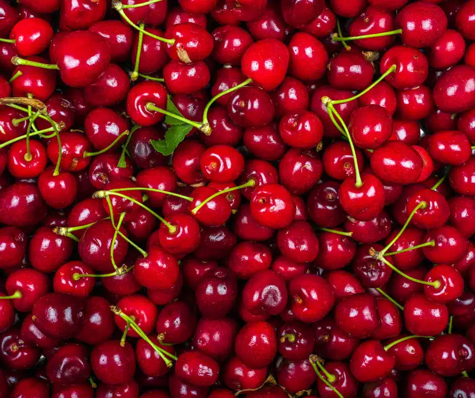 Quelles cerises utiliser pour un clafoutis ? Le guide complet  – Plumefraise