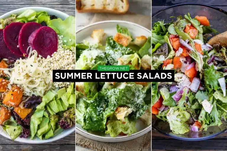 13 Best Summer Lettuce Salad Recipes | TheGrow
