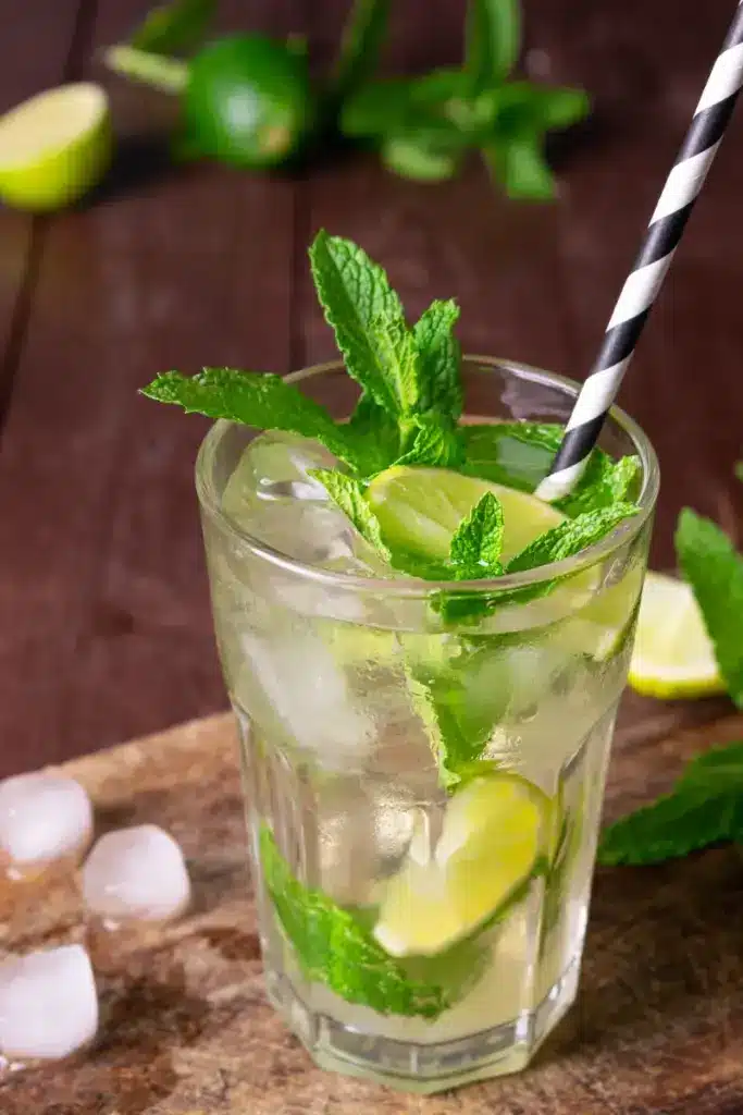 Easy Low Sugar Mojito You Can Make in 5 Minutes | Micaela's Kitchen