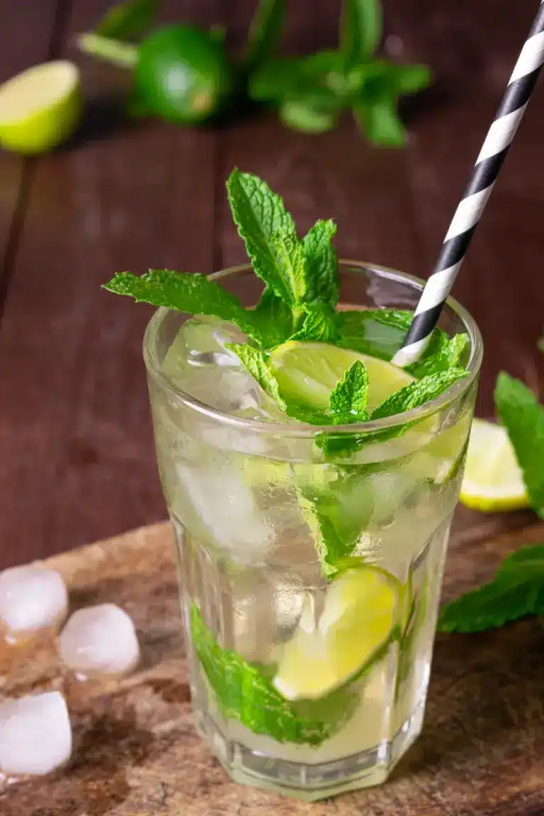 Easy Low Sugar Mojito You Can Make in 5 Minutes | Micaela's Kitchen