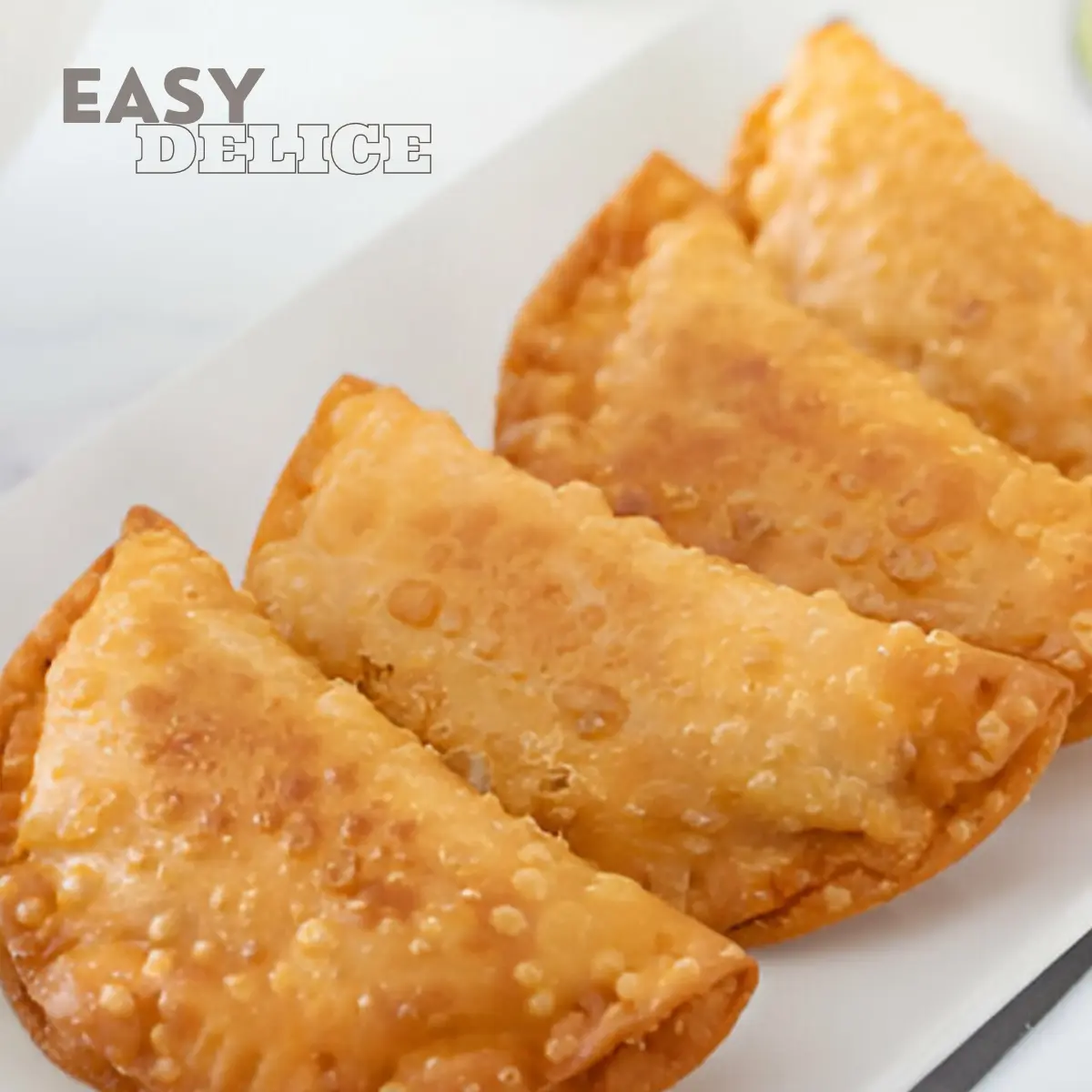 Recette de la vraie Pâte pour Empanadas 2 pâte pour empanadas