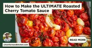 Sauce aux tomates cerises rôties au four