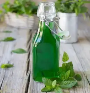 Sirop de menthe maison