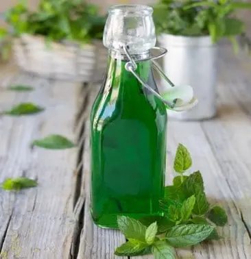 SIROP DE MENTHE MAISON : la recette facile