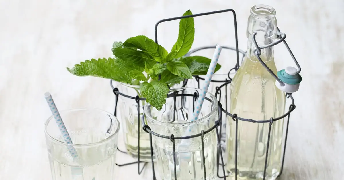 Sirop de menthe et de mélisse - Recette | Swissmilk 2 sirop de menthe et de mélisse