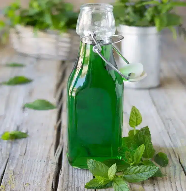 SIROP DE MENTHE MAISON : la recette facile – Délice Plat
