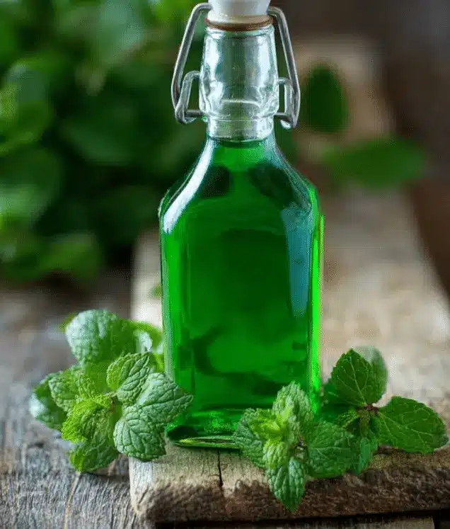 Sirop de Menthe Fait Maison : La Fraîcheur Naturelle en Bouteille – Recettes chef