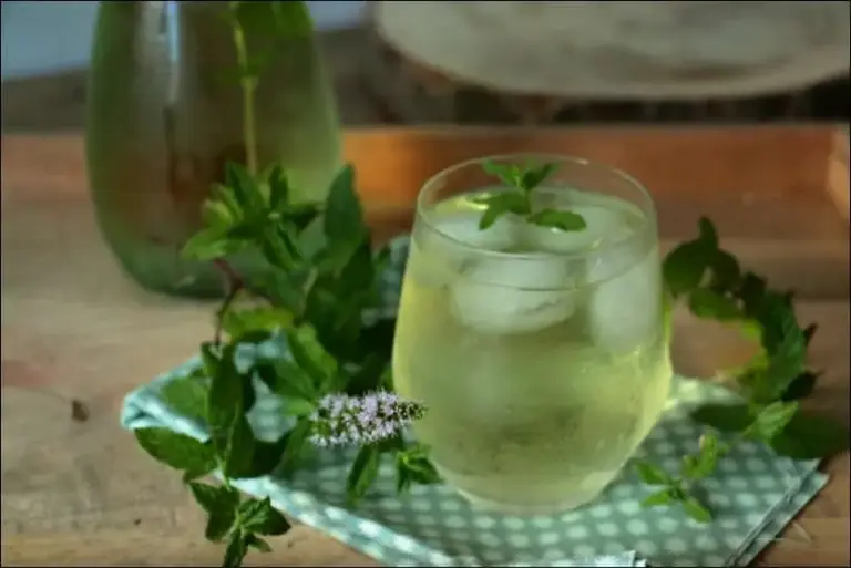 Thé glacé maison à la menthe – Happy papilles