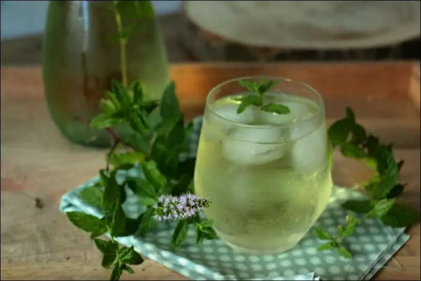 Thé glacé maison à la menthe – Happy papilles